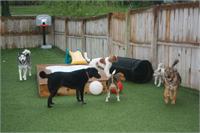 daycare pic 111 - play time